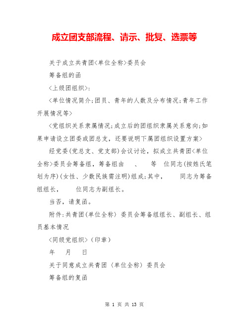 成立团支部流程、请示、批复、选票等