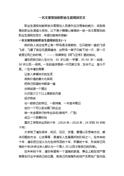 一名文案策划的职业生涯规划范文