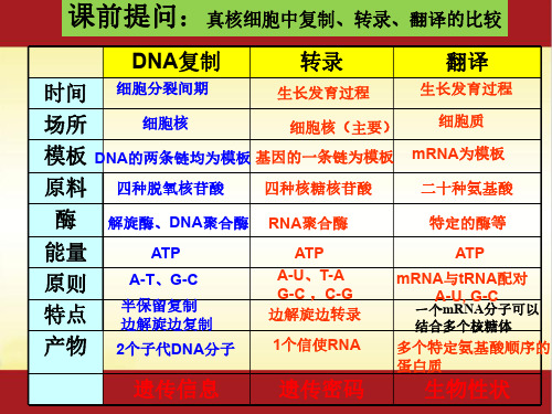 4.2 基因对性状的控制(公开课) 人教版(2019)高中生物必修二课件(共31张PPT)