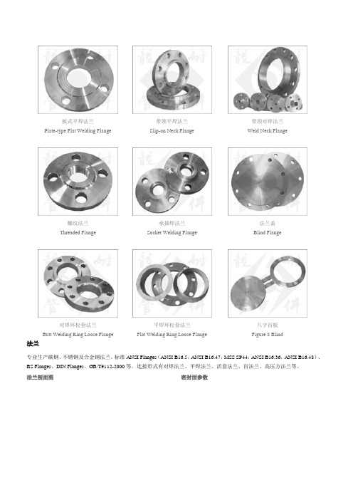 锻造法兰系列