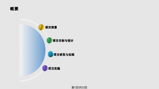 城市内涝监控预警系统PPT课件