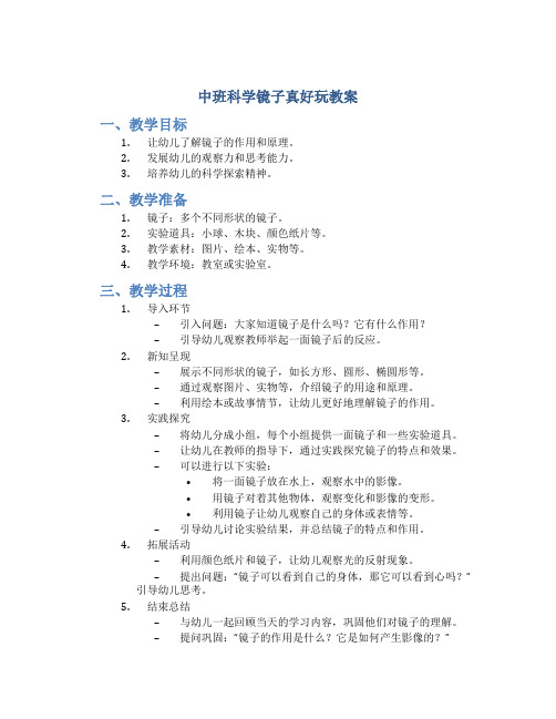 中班科学镜子真好玩教案