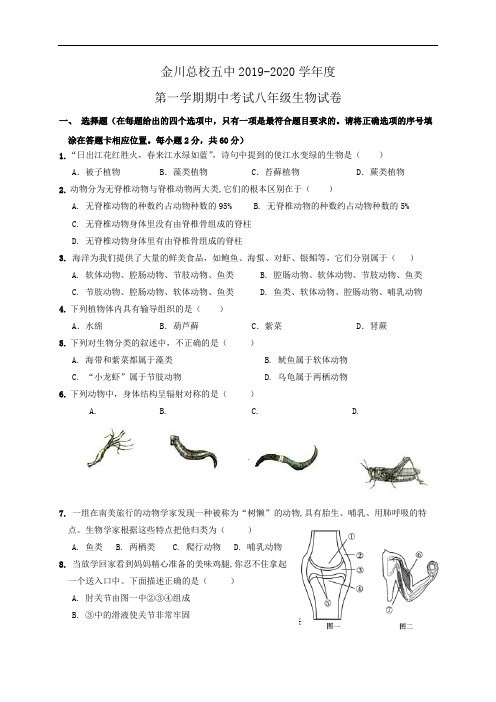 甘肃省金昌市金川总校第五中学2019-2020学年八年级上学期期中考试生物试题