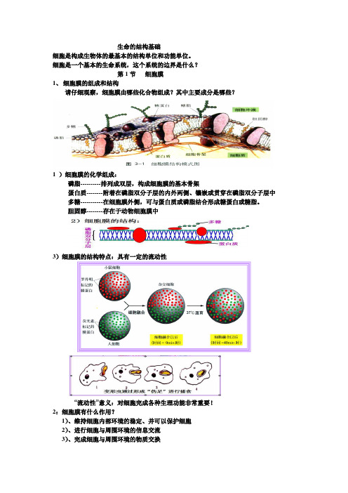 沪科版生命科学高一上第3章《生命的结构基础》全单元复习题2