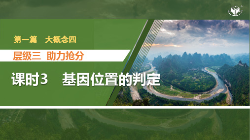 课时3 基因位置的判定-2024年高三二轮复习生物学(配人教版)