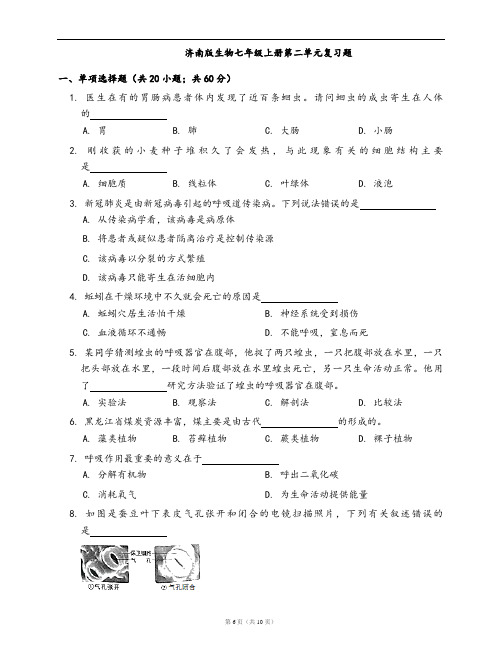 济南版生物七年级上册单元测试卷第二单元复习题(word版,含答案解析)