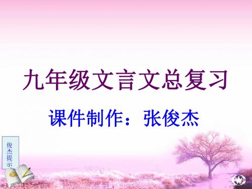 2019年最新-【中考复习】九年级文言文总复习-PPT文档资料-精选文档