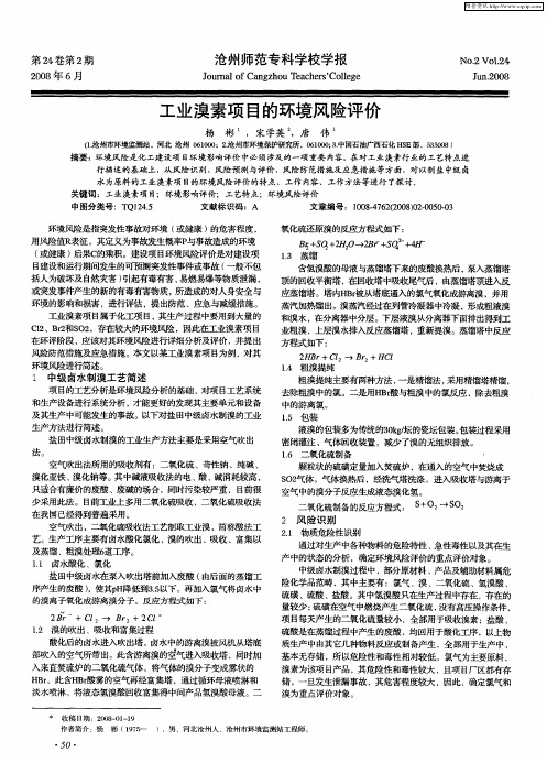 工业溴素项目的环境风险评价