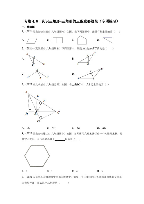 专题4.6 认识三角形-三角形的三条重要线段(专项练习)七年级数学下册基础知识专项讲练(北师大版)