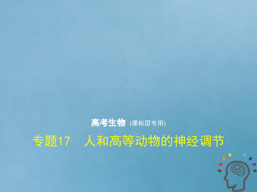 (新课标Ⅲ)2020版高考生物一轮复习 专题17 人和高等动物的神经调节课件