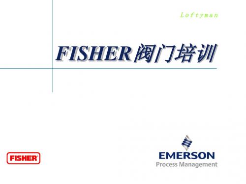 FISHER阀门培训