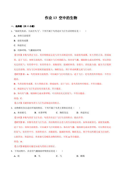 作业13 空中的生物-2021年七年级生物暑假作业(苏科版)(解析版)