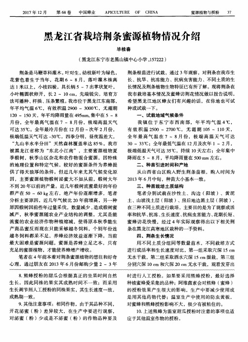 黑龙江省栽培荆条蜜源植物情况介绍