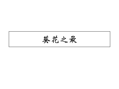 六年级下册语文课件-《葵花之最》|冀教版 (共29张)