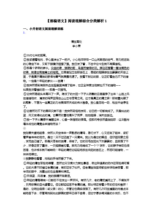 小升初【部编语文】阅读理解综合分类解析1