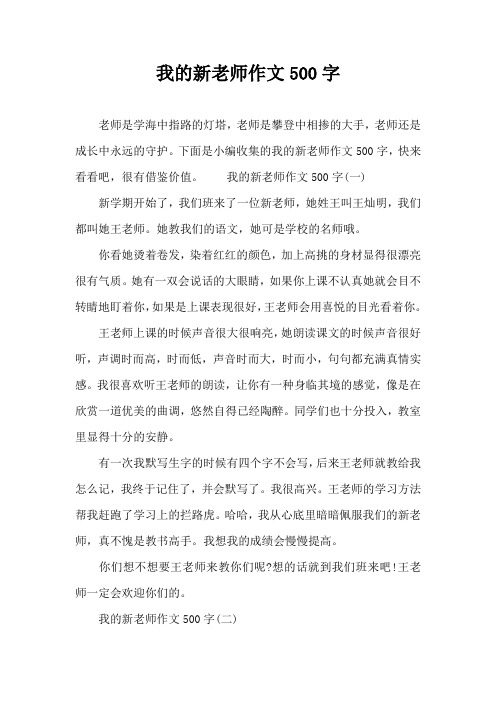 我的新老师作文500字