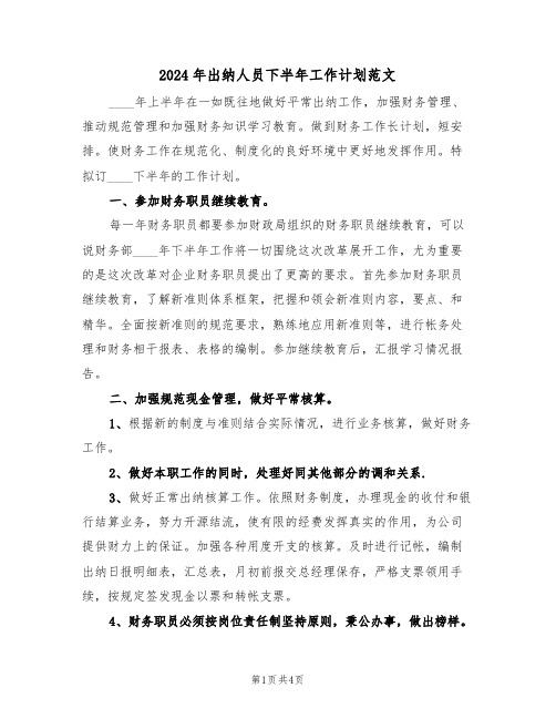 2024年出纳人员下半年工作计划范文(二篇)