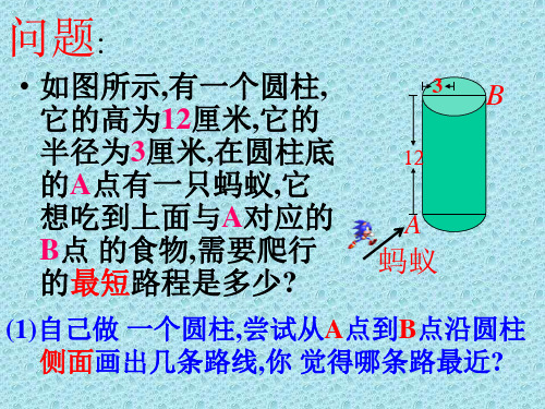 3(PPT)5-4.蚂蚁怎样走最近