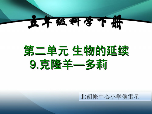 9冀教版小学五年级下册科学《克隆羊—多莉PPT课件》教学