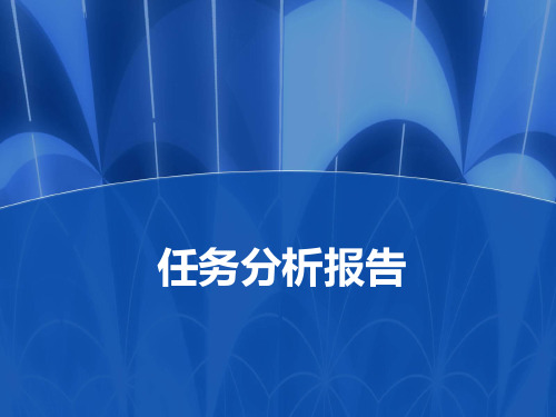 任务分析报告