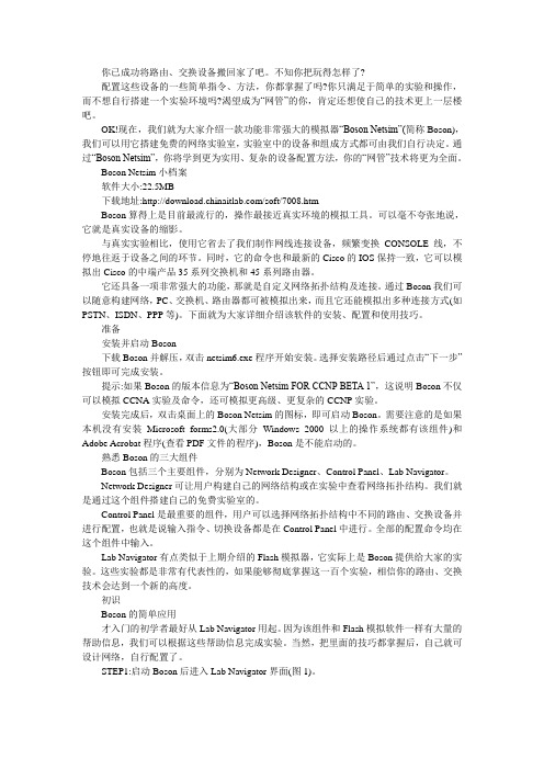 BosonNetsim使用教程