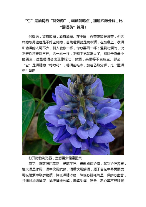 “它”是酒精的“特效药”，喝酒前吃点，加速乙醇分解，比“醒酒药”管用！