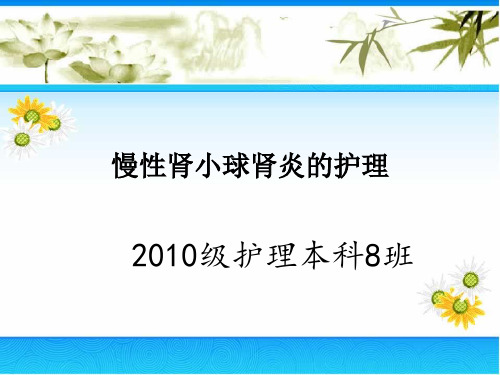 慢性肾小球肾炎护理查房 -PPT课件