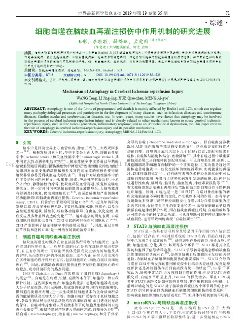 细胞自噬在脑缺血再灌注损伤中作用机制的研究进展