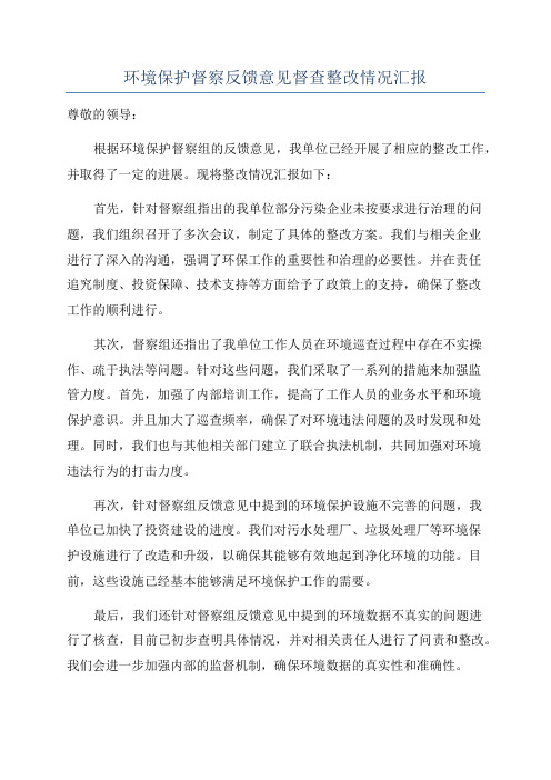 环境保护督察反馈意见督查整改情况汇报