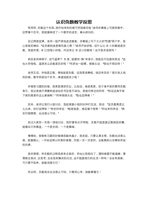 认识负数教学反思