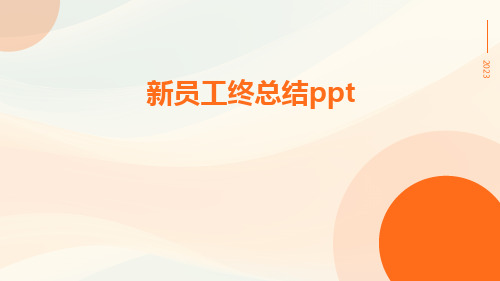 新员工终总结ppt