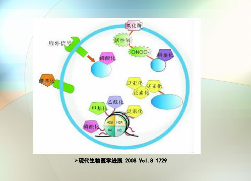 蛋白质翻译后修饰 