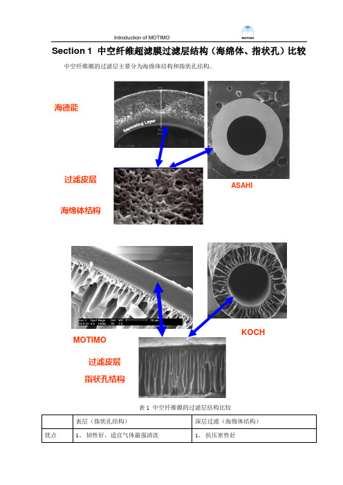 中空纤维超滤膜过滤层结构-MOTIMO