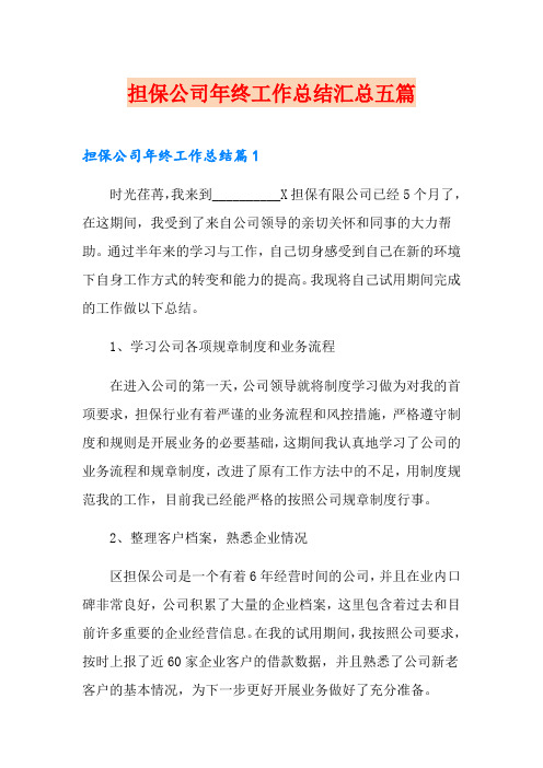 担保公司年终工作总结汇总五篇