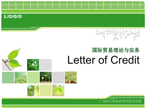 国际贸易实务 信用证 LETTER OF CREDIT..