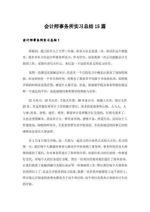 会计师事务所实习总结15篇