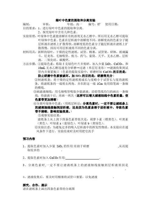 绿叶中色素的提取和分离实验