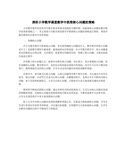 探析小学数学课堂教学中抓准核心问题的策略