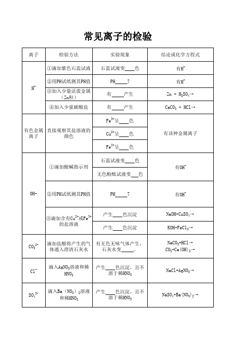 中考复习常见离子的检验