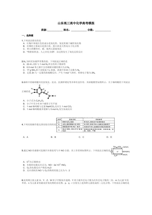 山东高三高中化学高考模拟带答案解析
