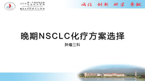 晚期NSCLC化疗方案选择