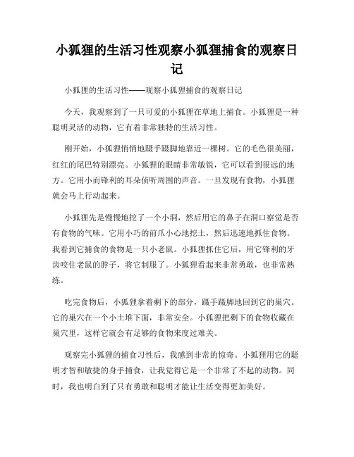 小学三年级作文小狐狸的生活习性观察小狐狸捕食的观察日记