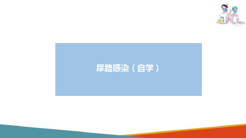 泌尿系统疾病患儿的护理—尿路感染患儿的护理(儿科护理课件)