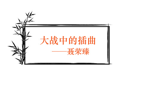 《大战中的插曲》标准课件(36张)统编版高中语文选择性必修上册