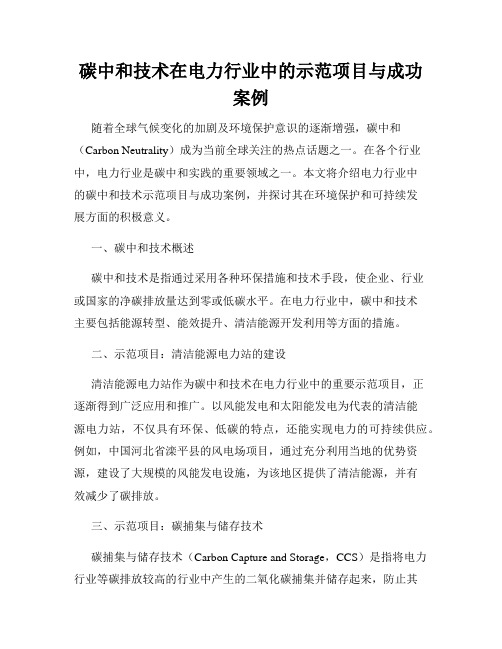 碳中和技术在电力行业中的示范项目与成功案例