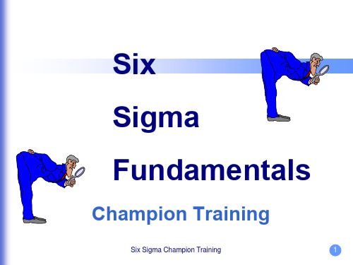 6sigmachampion培训教材(3)