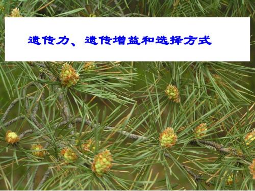 东北林业大学 林木育种学 遗传力、遗传增益和选择方式