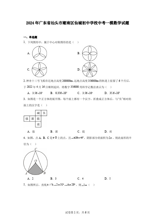 2024年广东省汕头市潮南区仙城初中学校中考一模数学试题