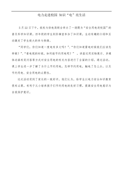 电力走进校园 知识“电”亮生活新闻稿