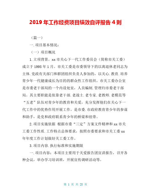 2019年工作经费项目绩效自评报告4则